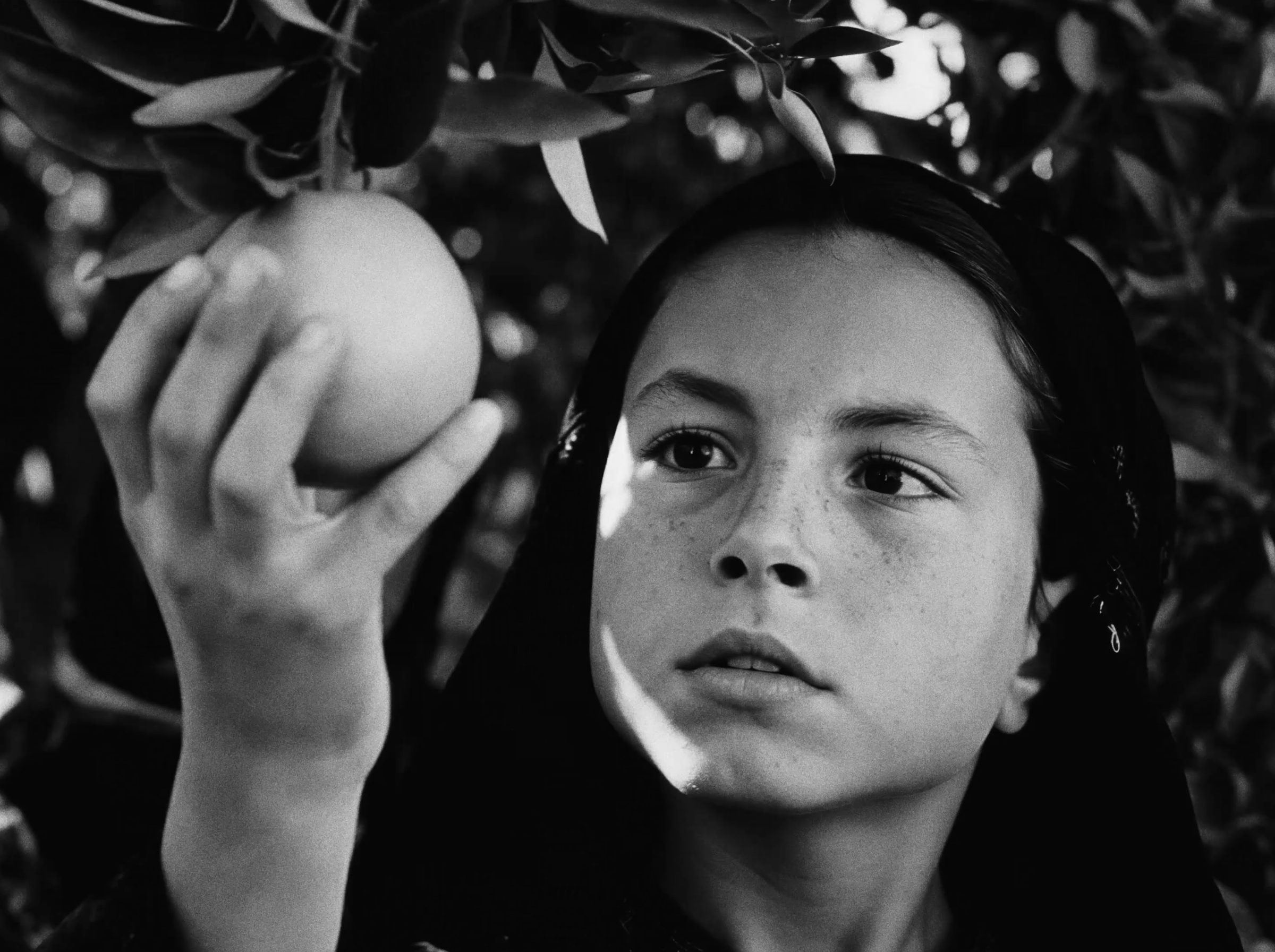 A girl reaching for a fruit on a branch.